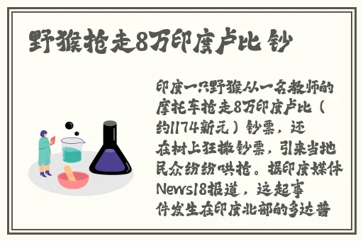 **长征篇最新入口